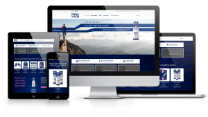 Web Design Company in Malaysia